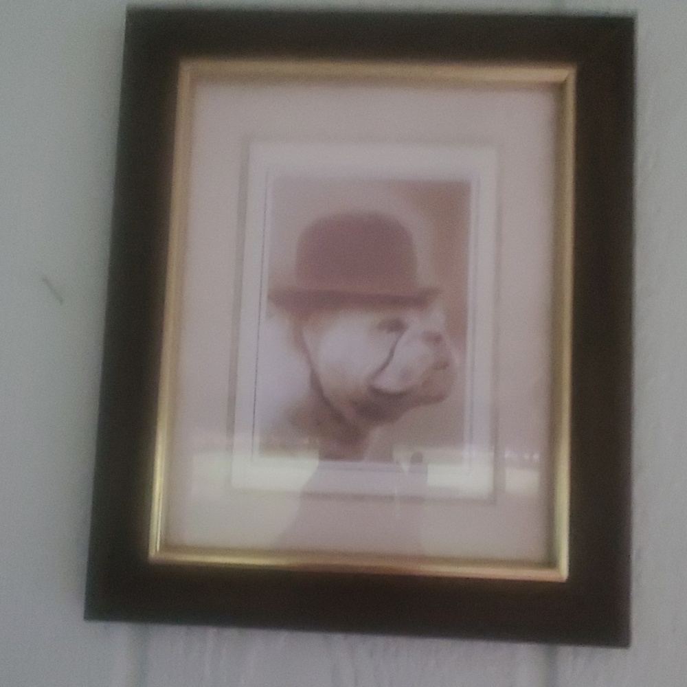 Bulldog picture